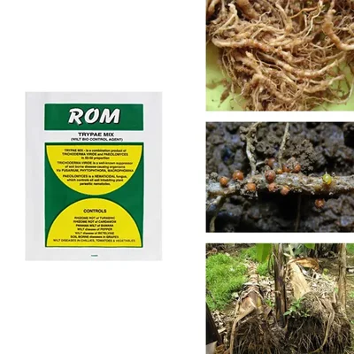 ROM 3 kg Trichoderma Paecilomyces for Wilt disease and Nematode Control